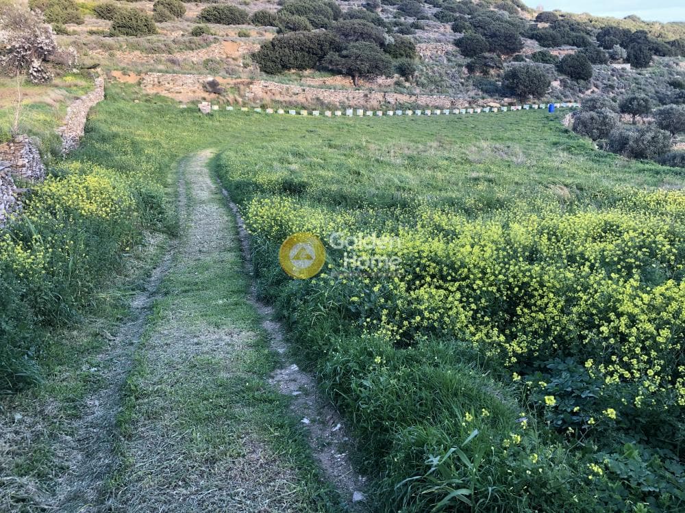 Building Plot in Kostos, Paros — Photo 5 of 5