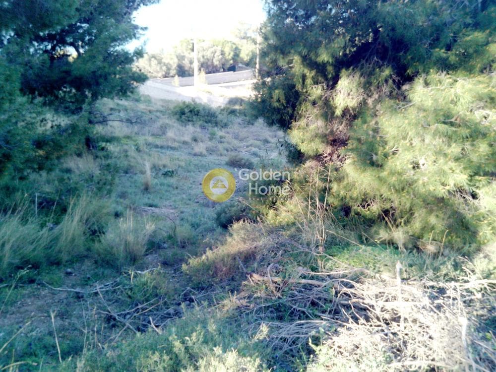 Building Plot in Lofos Kselaftaki, Kalivia Thorikou — Photo 3 of 4