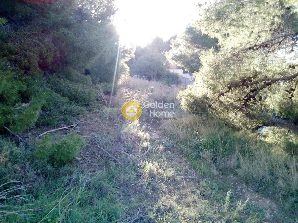 Building Plot in Lofos Kselaftaki, Kalivia Thorikou — Photo 4 of 4
