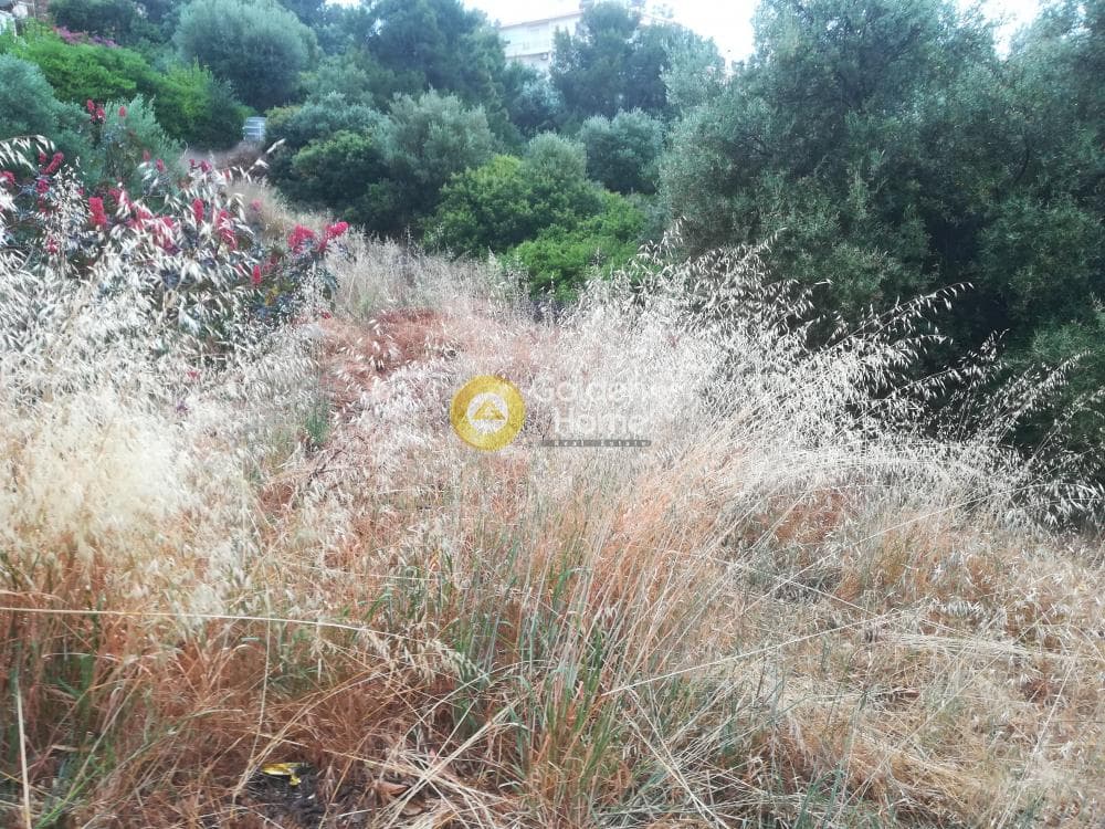 Οικόπεδο στην Μαύρο Λιθάρι, Σαρωνίδα — Φωτογραφία 2 από 6