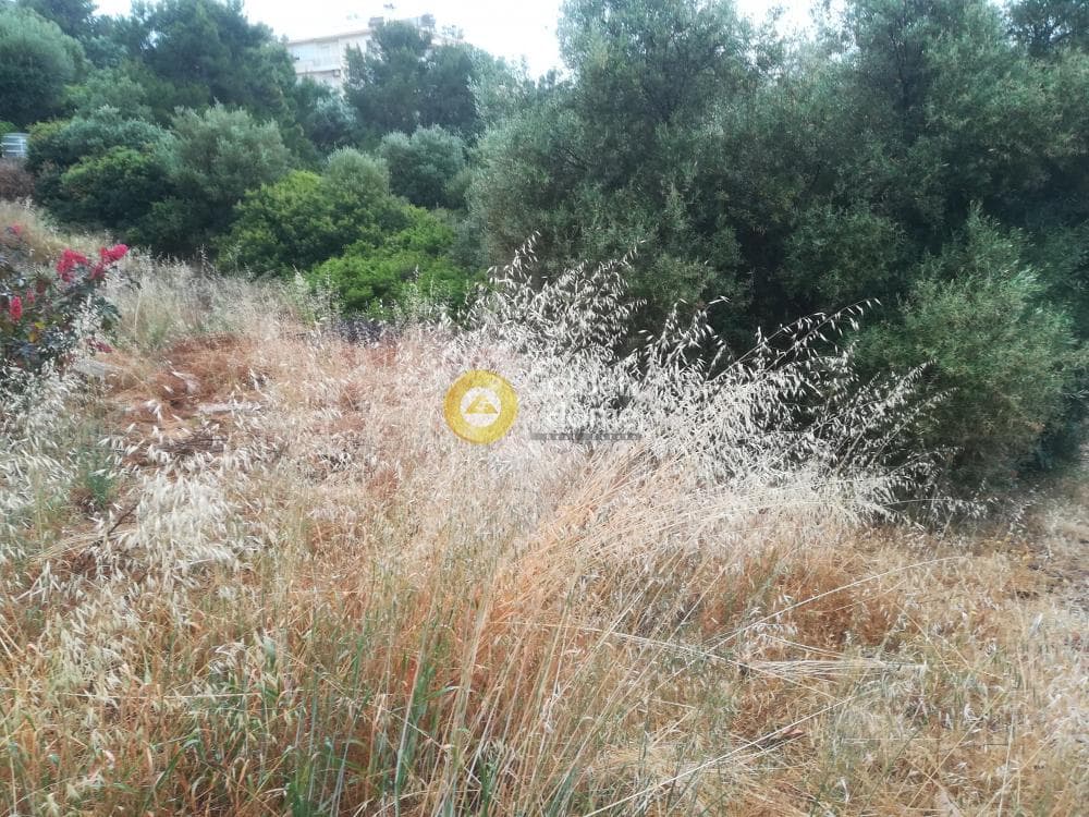 Οικόπεδο στην Μαύρο Λιθάρι, Σαρωνίδα — Φωτογραφία 3 από 6