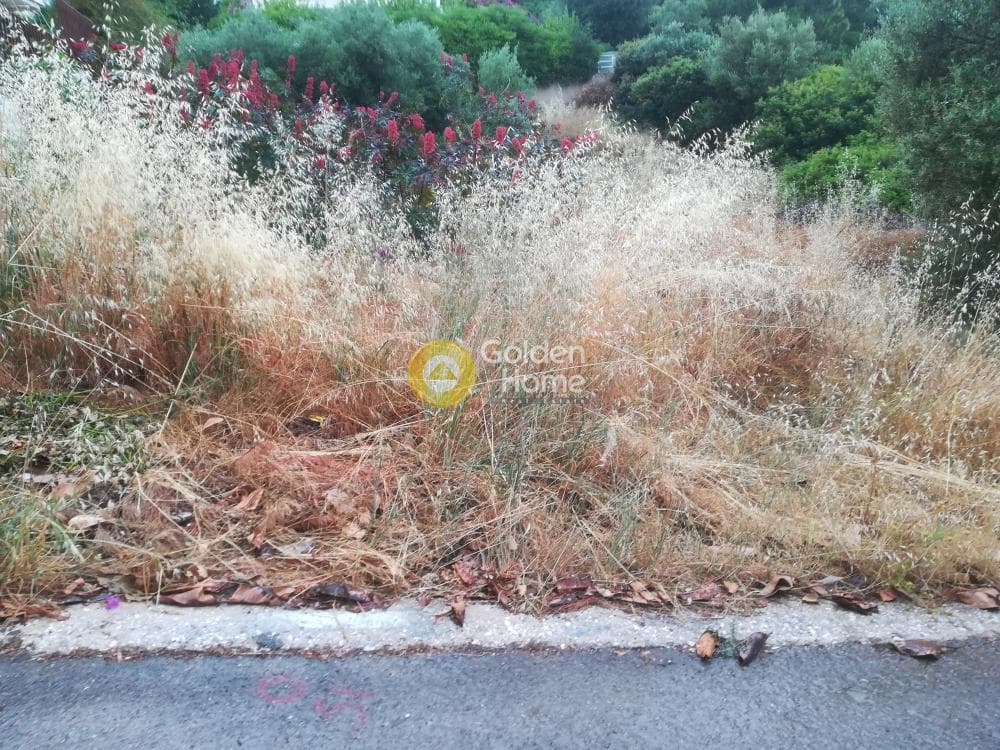 Οικόπεδο στην Μαύρο Λιθάρι, Σαρωνίδα — Φωτογραφία 1 από 6