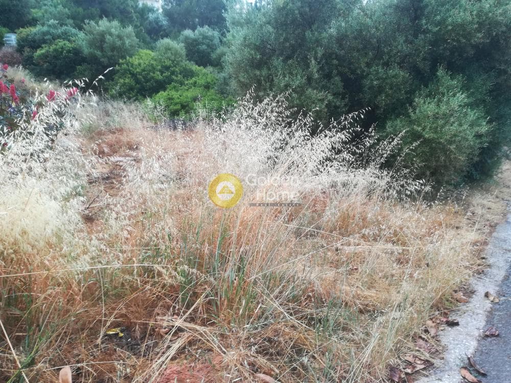 Οικόπεδο στην Μαύρο Λιθάρι, Σαρωνίδα — Φωτογραφία 4 από 6