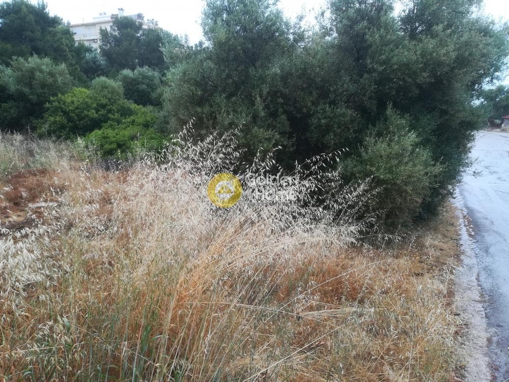 Οικόπεδο στην Μαύρο Λιθάρι, Σαρωνίδα — Φωτογραφία 5 από 6