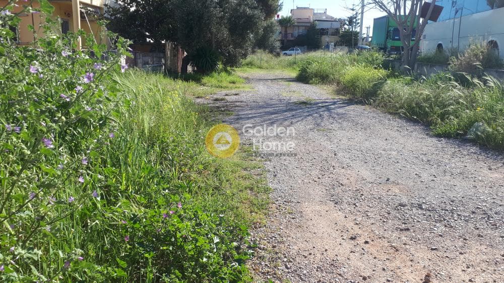 Οικόπεδο στην Νέα Χαραυγή, Καματερό — Φωτογραφία 6 από 7