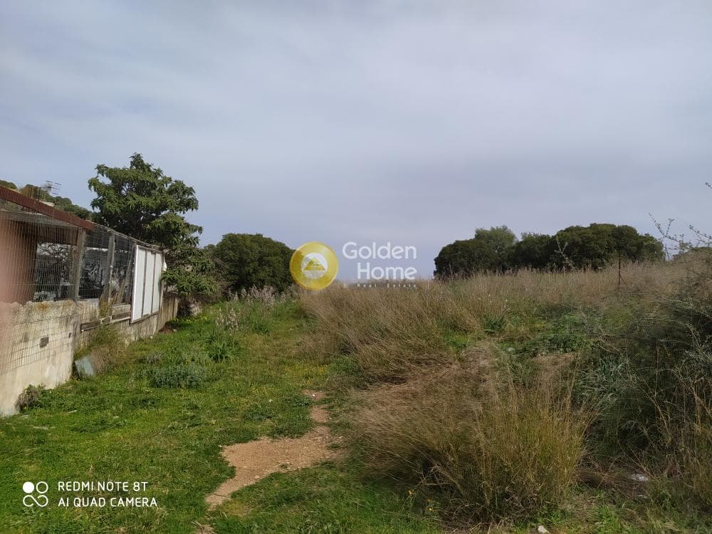 Building Plot in Vorineza, Artemida (Loutsa) — Photo 1 of 2