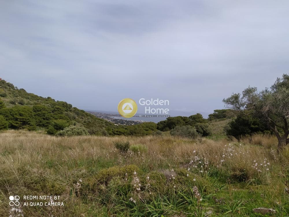 Building Plot in Vorineza, Artemida (Loutsa) — Photo 2 of 2