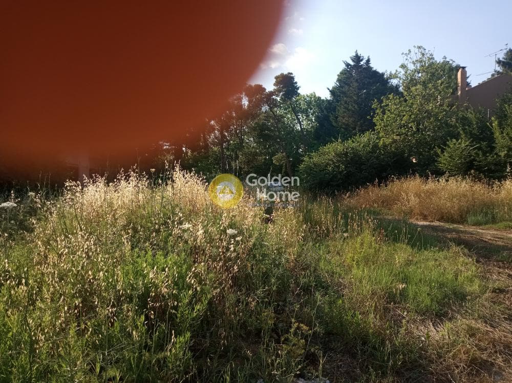 Building Plot in Anoixi, Anoixi — Photo 1 of 3