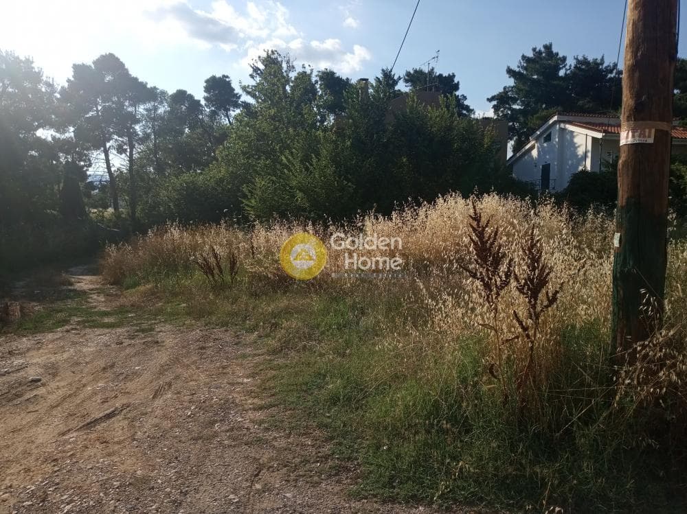 Building Plot in Anoixi, Anoixi — Photo 2 of 3