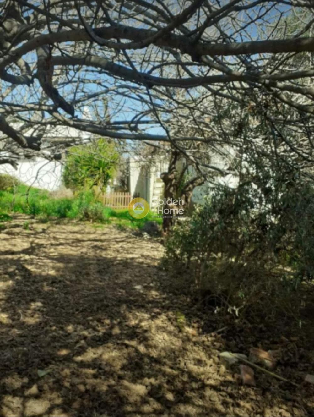Μονοκατοικία στην Κέντρο, Κορωπί — Φωτογραφία 6 από 8