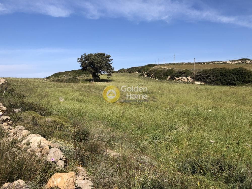 Οικόπεδο στην Ιστέρνι, Πάρος — Φωτογραφία 6 από 7