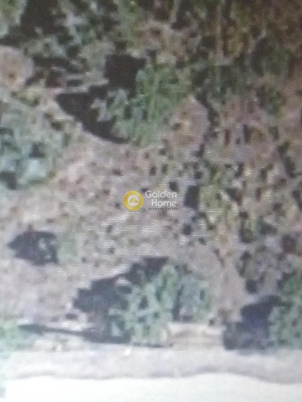 Building Plot in ATE, Anavissos — Photo 1 of 5
