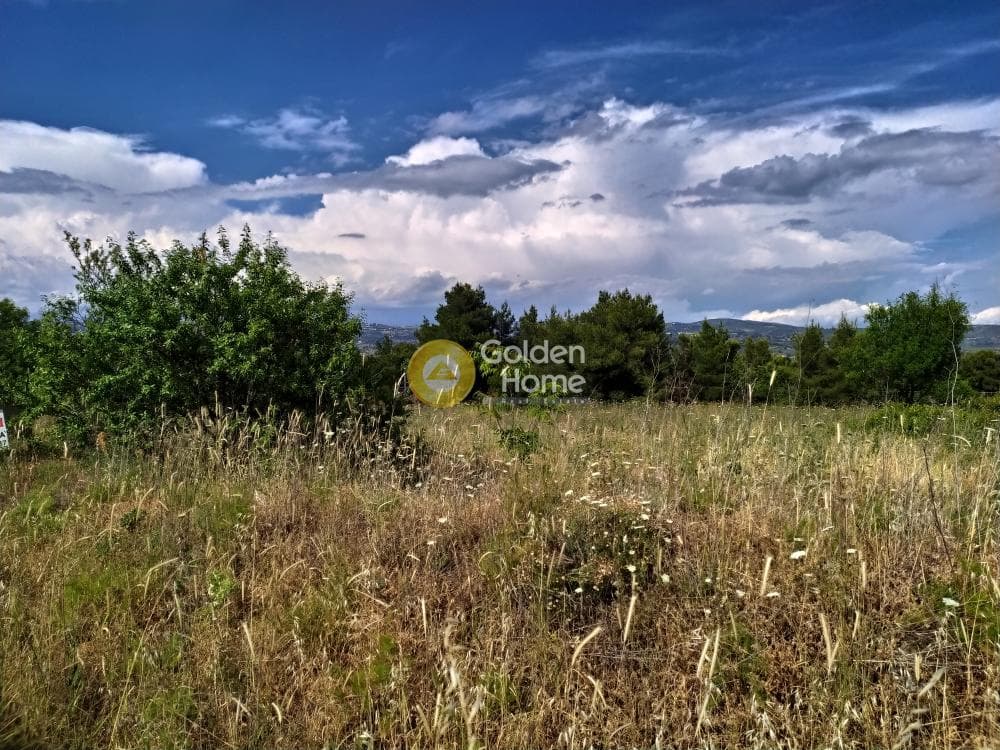Parcel in Nimfon, Agios Stefanos — Photo 2 of 11