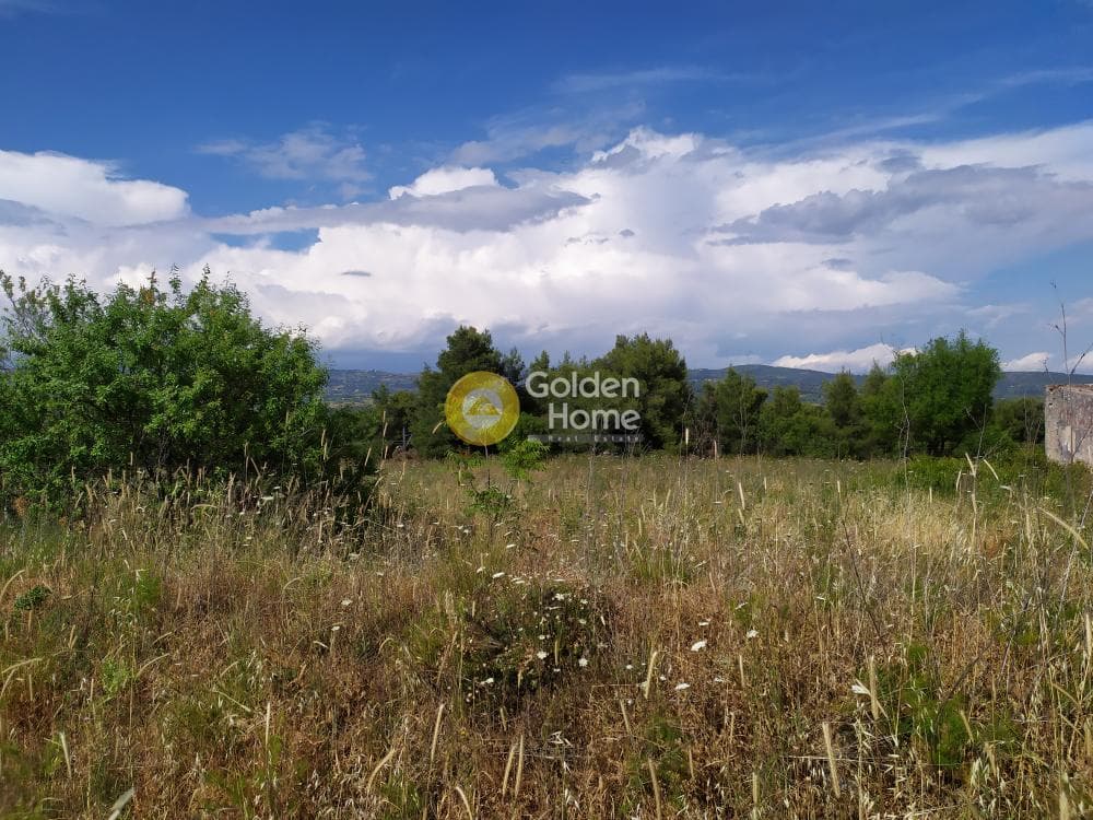 Parcel in Nimfon, Agios Stefanos — Photo 4 of 11
