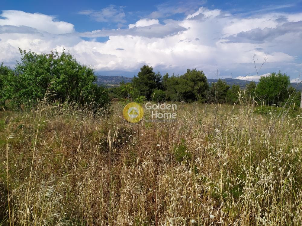 Parcel in Nimfon, Agios Stefanos — Photo 5 of 11