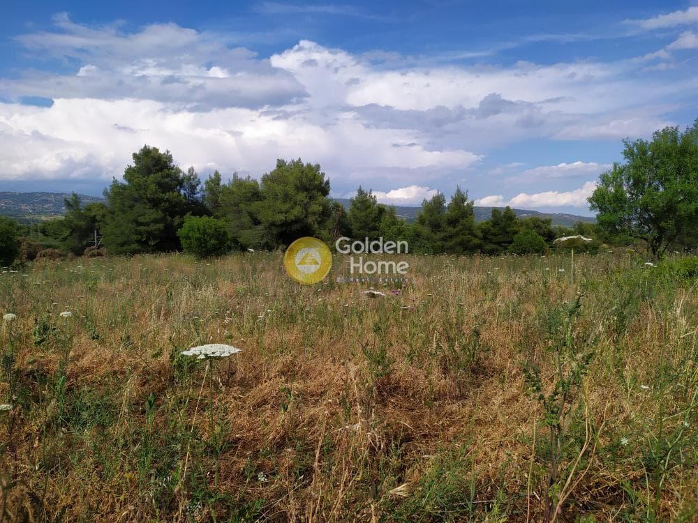 Parcel in Nimfon, Agios Stefanos — Photo 6 of 11