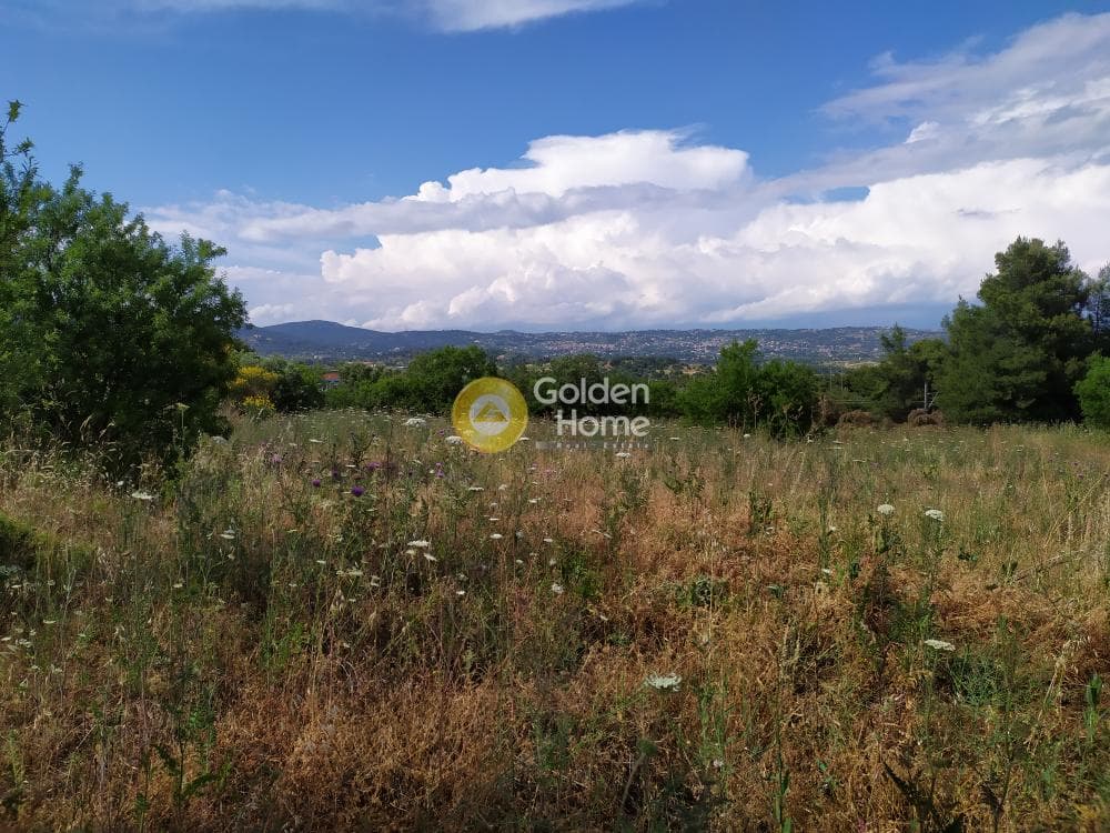 Parcel in Nimfon, Agios Stefanos — Photo 7 of 11