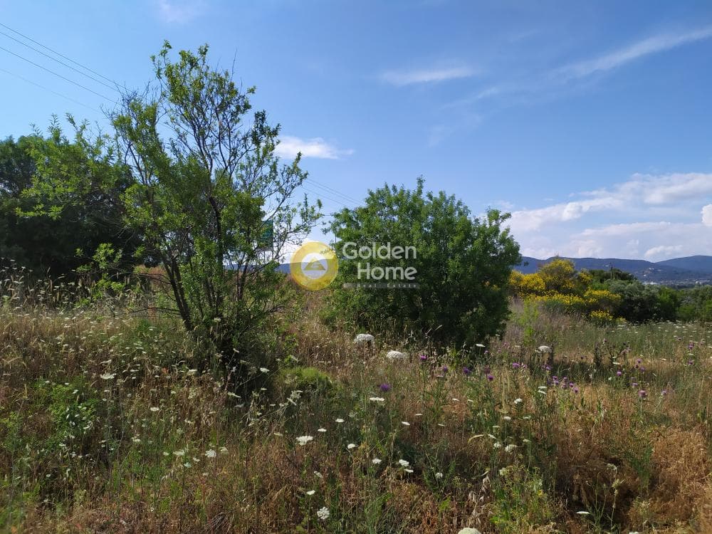 Parcel in Nimfon, Agios Stefanos — Photo 8 of 11