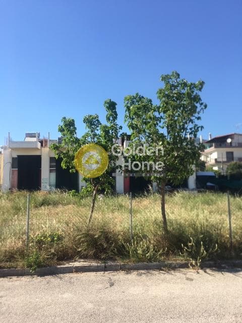 Building Plot in Agios Georgios, Ano Liosia — Photo 3 of 4