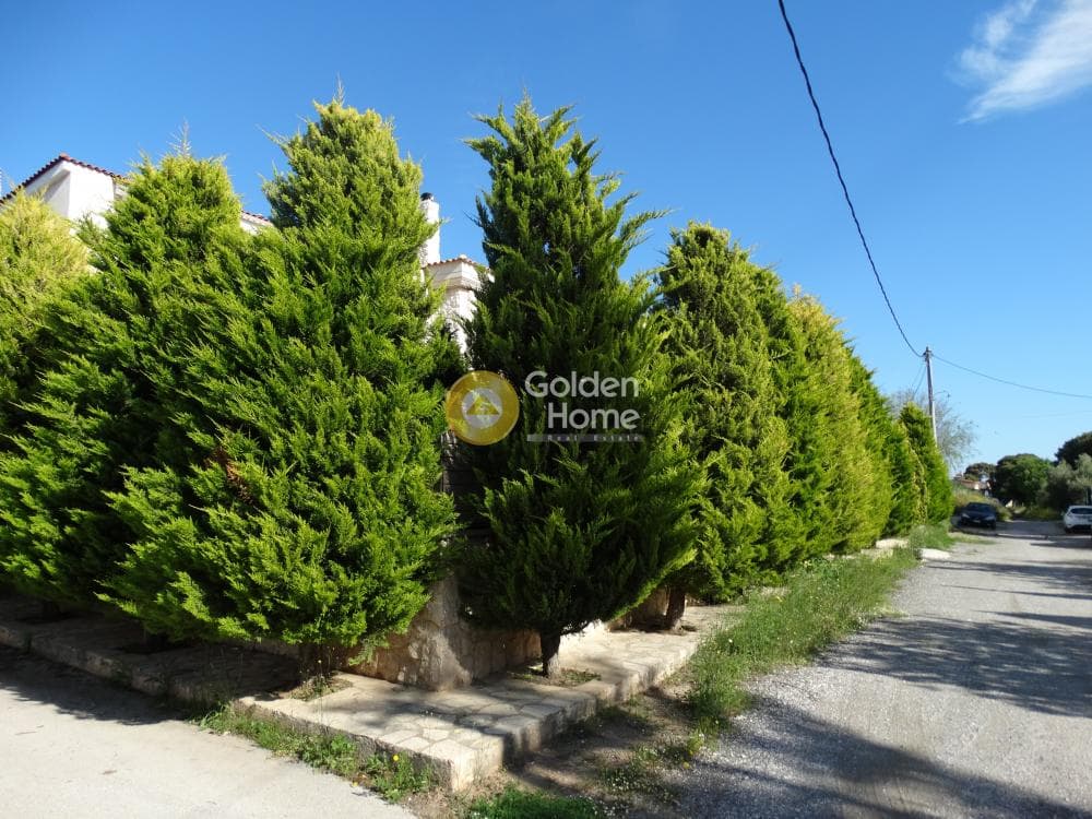 Μονοκατοικία στην Κέντρο, Αρτέμιδα (Λούτσα) — Φωτογραφία 35 από 35
