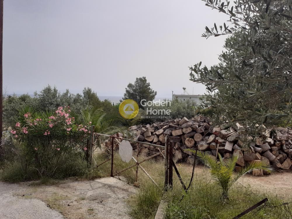 Building Plot in Vorineza, Artemida (Loutsa) — Photo 1 of 4
