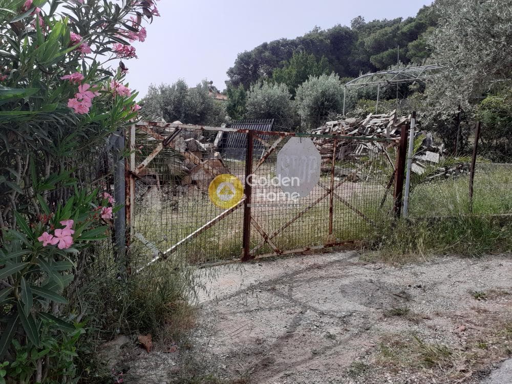 Building Plot in Vorineza, Artemida (Loutsa) — Photo 2 of 4