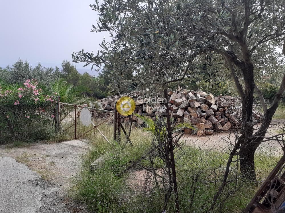 Building Plot in Vorineza, Artemida (Loutsa) — Photo 4 of 4
