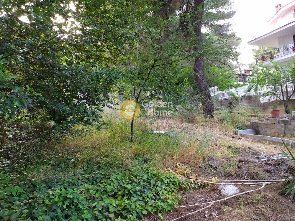Building Plot in Efxinos Pontos, Stamata — Photo 7 of 7