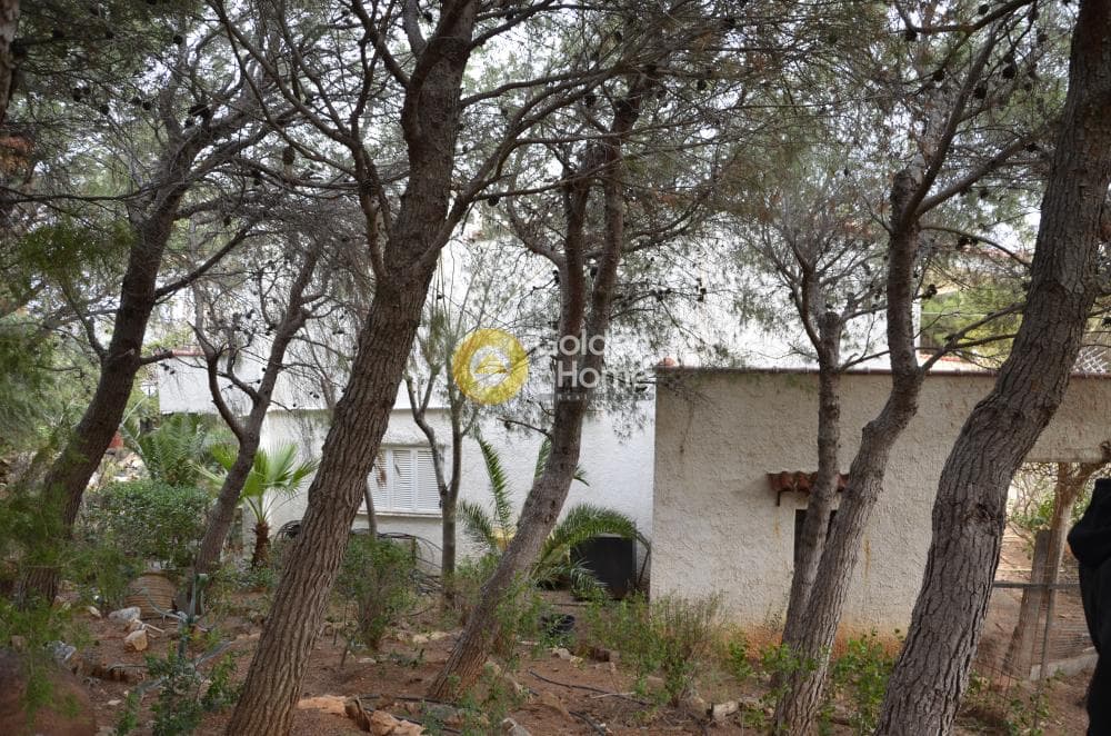 Μονοκατοικία στην Μεγάλα Σχοινία Α, Αχαρνές — Φωτογραφία 10 από 18