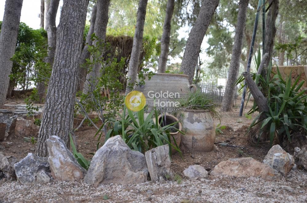 Μονοκατοικία στην Μεγάλα Σχοινία Α, Αχαρνές — Φωτογραφία 15 από 18