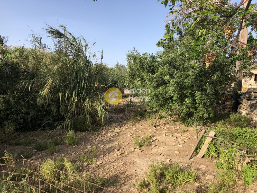 Building Plot in Moni Agiou Antoniou, Paros — Photo 5 of 11