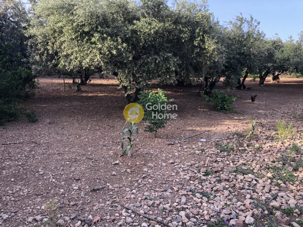 Building Plot in Moni Agiou Antoniou, Paros — Photo 10 of 11