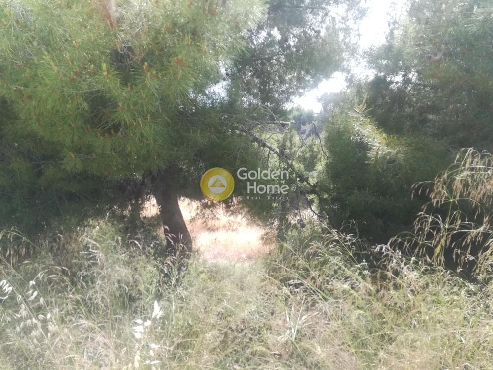 Building Plot in Agia Marina, Koropi — Photo 4 of 8