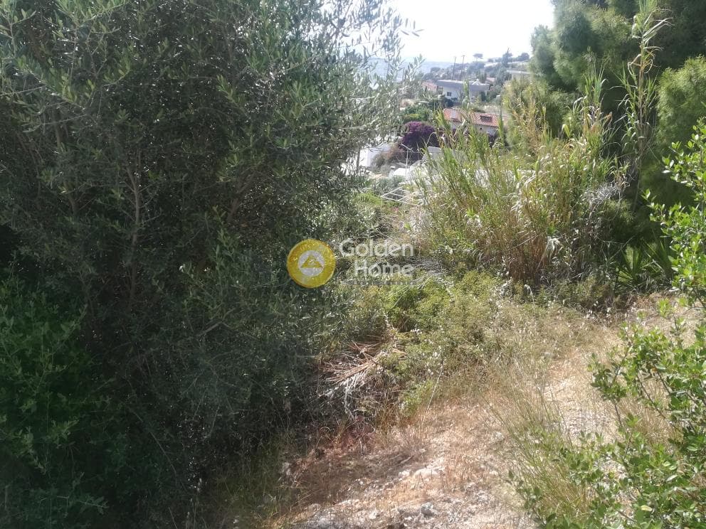 Building Plot in Agia Marina, Koropi — Photo 6 of 8