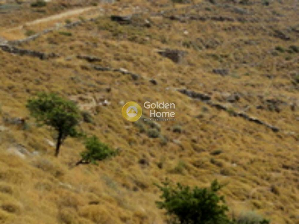 Parcel in Spathi, Kea — Photo 5 of 5