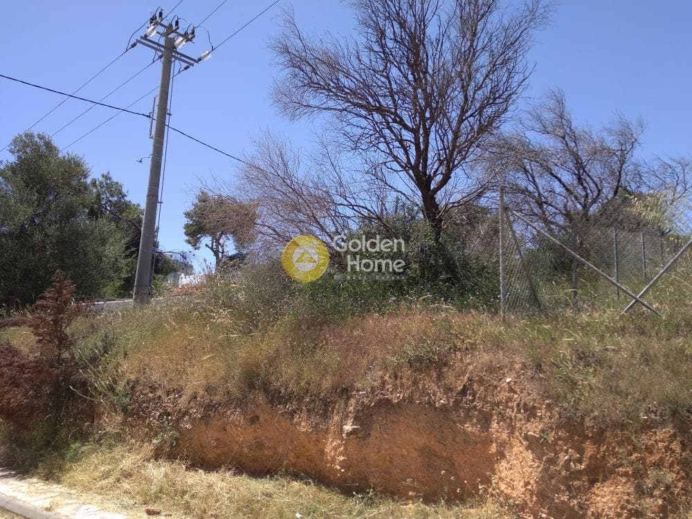 Building Plot in Perivolakia, Rafina — Photo 3 of 4