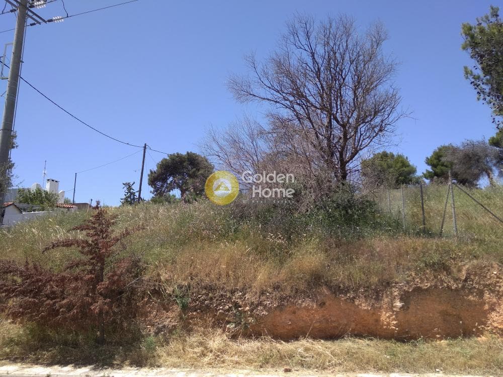 Building Plot in Perivolakia, Rafina — Photo 4 of 4