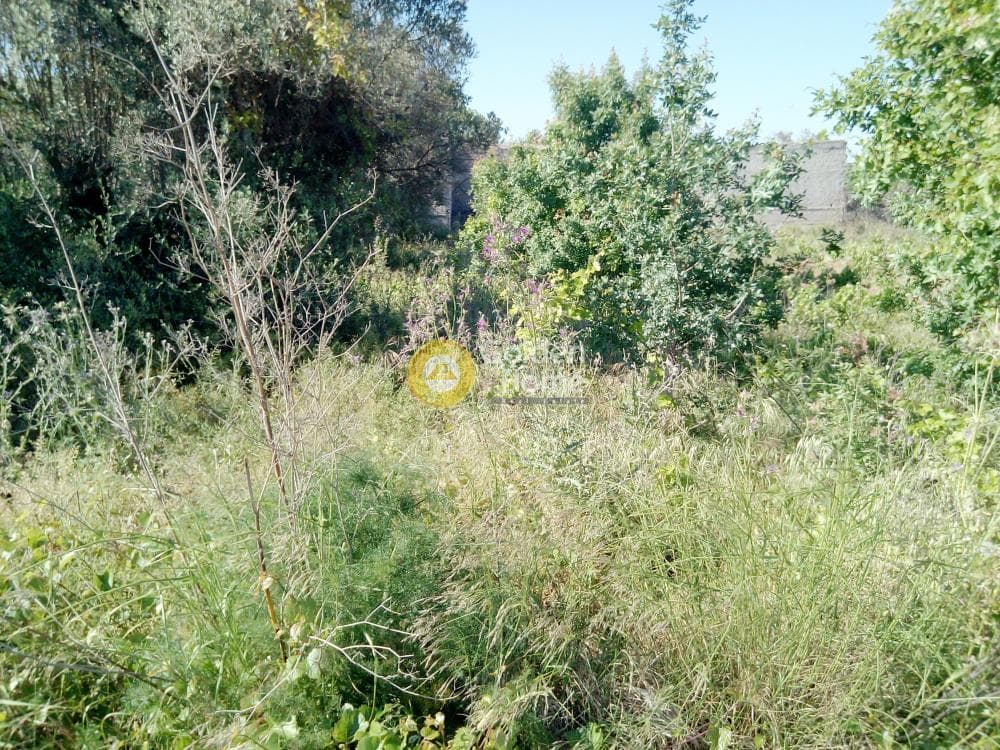 Building Plot in Varis Koropiou Avenue, Koropi — Photo 1 of 3