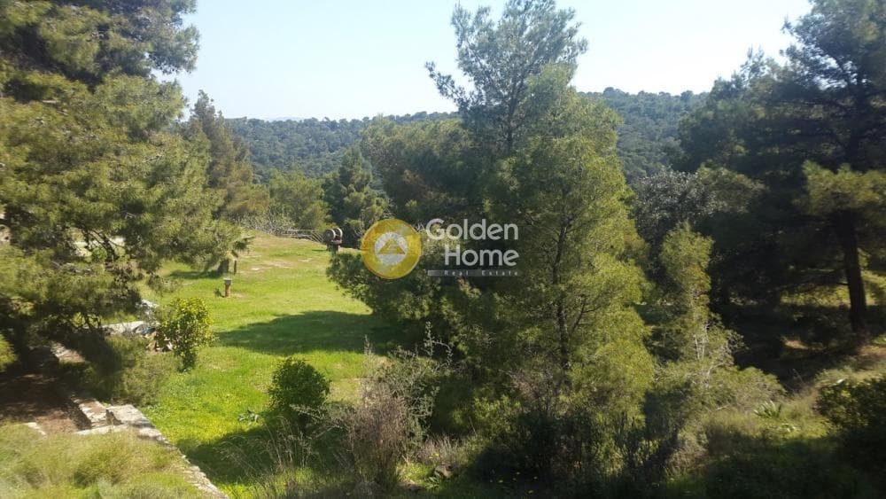 Αγροτεμάχιο στην Κέντρο, Λαύριο — Φωτογραφία 1 από 3