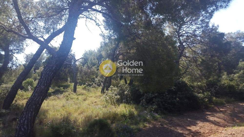 Αγροτεμάχιο στην Κέντρο, Λαύριο — Φωτογραφία 2 από 3