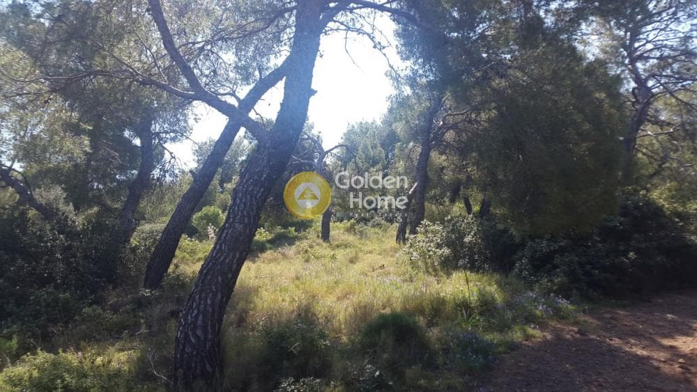 Αγροτεμάχιο στην Κέντρο, Λαύριο — Φωτογραφία 3 από 3