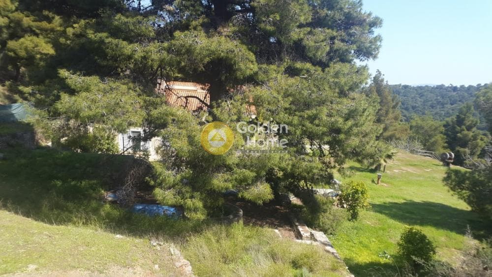 House in Markati, Lavrio — Photo 1 of 4