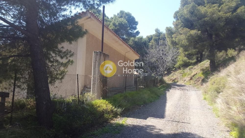 House in Markati, Lavrio — Photo 4 of 4