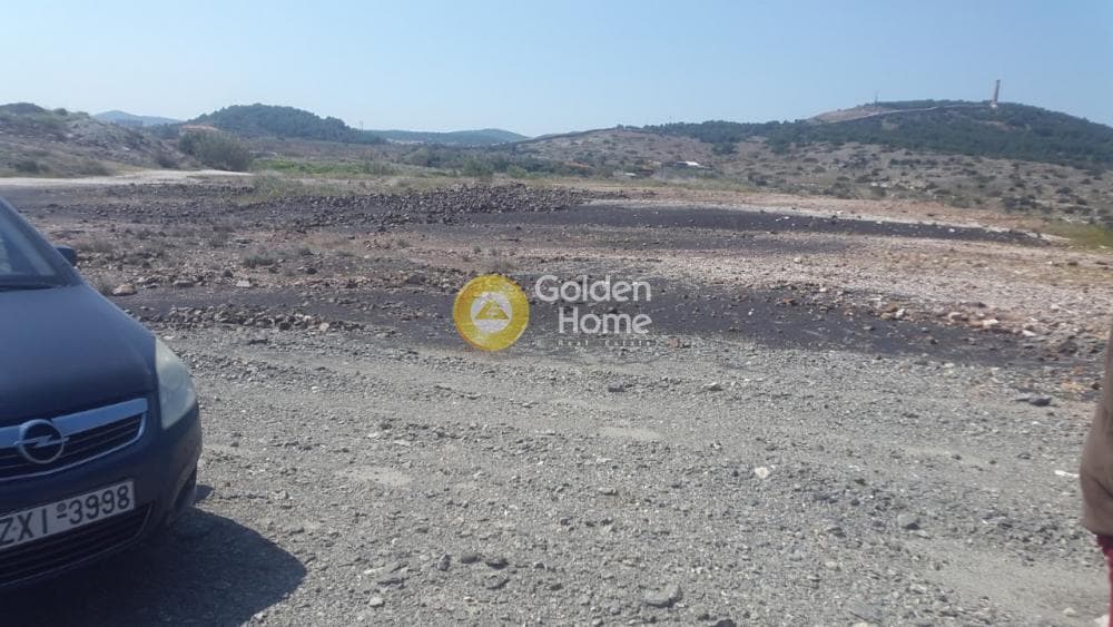 Αγροτεμάχιο στην Θορικό, Λαύριο — Φωτογραφία 2 από 2