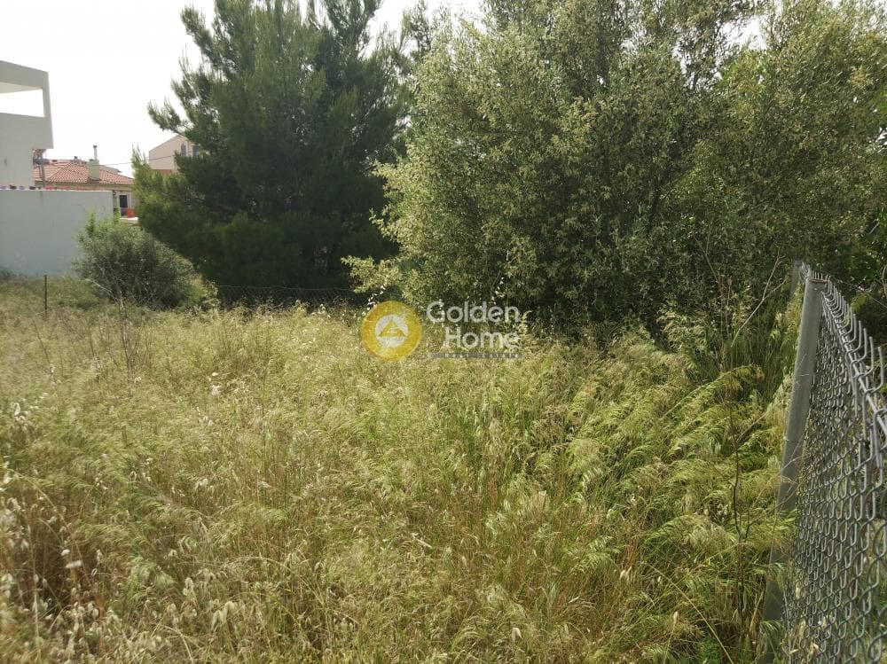 Building Plot in Patima, Chalandri — Photo 9 of 15