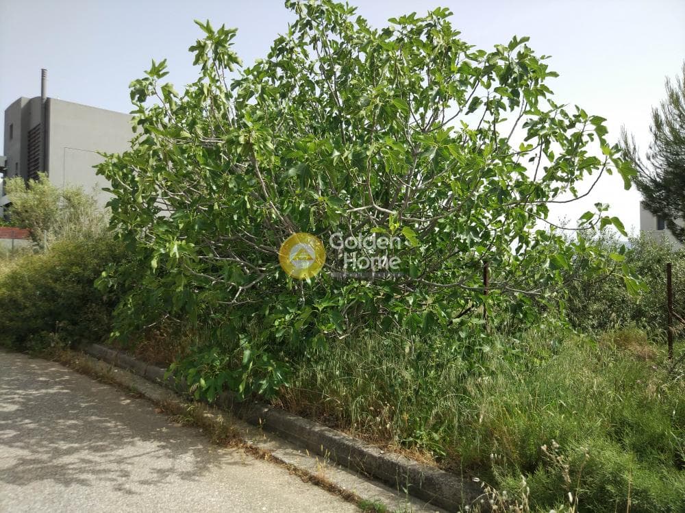Building Plot in Patima, Chalandri — Photo 4 of 15