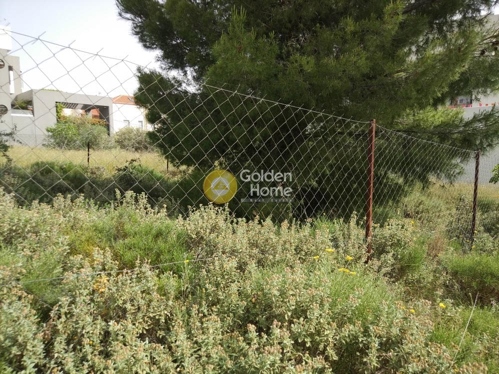 Building Plot in Patima, Chalandri — Photo 15 of 15