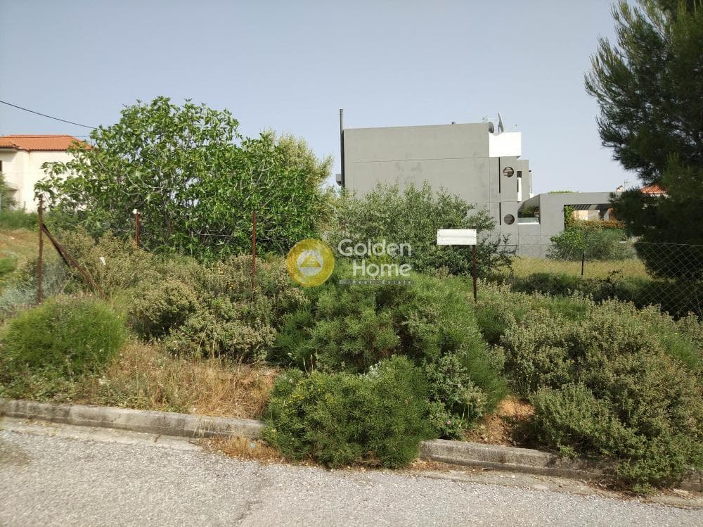 Building Plot in Patima, Chalandri — Photo 6 of 15