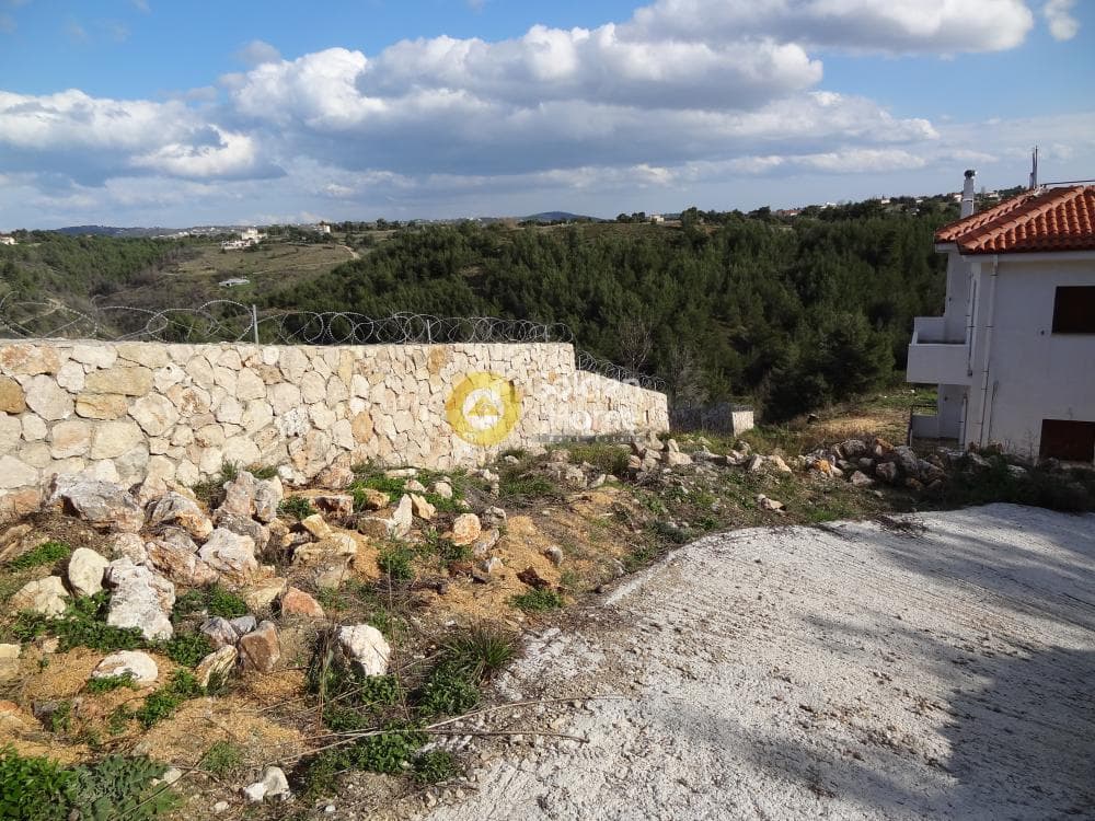 Μονοκατοικία στην Άγιοι Ανάργυροι, Κ. Καπανδριτίου — Φωτογραφία 3 από 40
