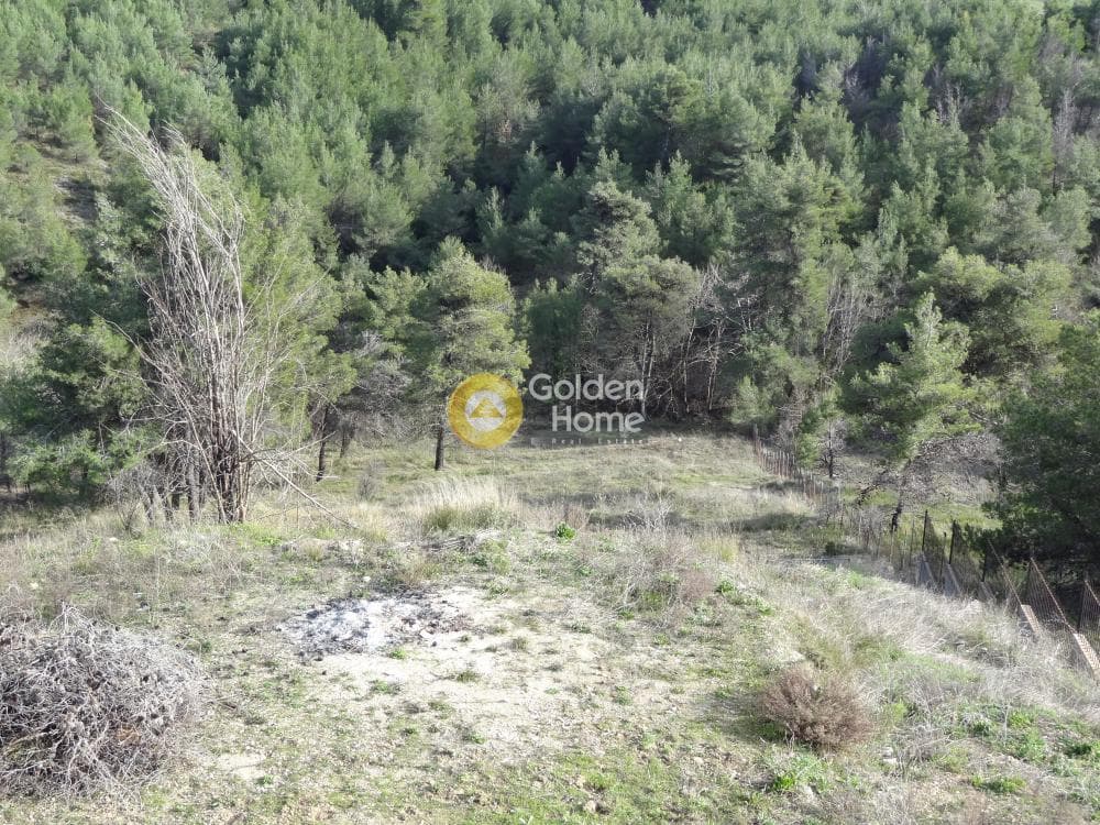 Μονοκατοικία στην Άγιοι Ανάργυροι, Κ. Καπανδριτίου — Φωτογραφία 29 από 40